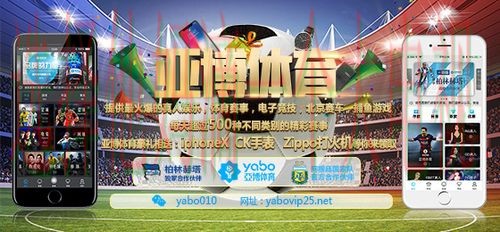 亚博体育登录入口官网指南